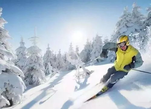 一、 龙凤谷——四季“虚假”雪场