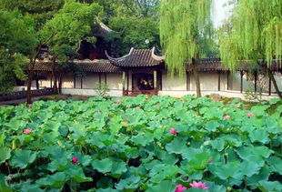 天还没亮就去排队？蠢爆了！2026年这个秘密入口让你睡到自然醒