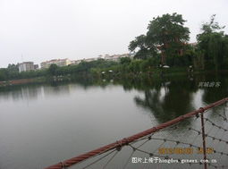 城区湿地公园：历史持续发展感满满还能抄底价体验