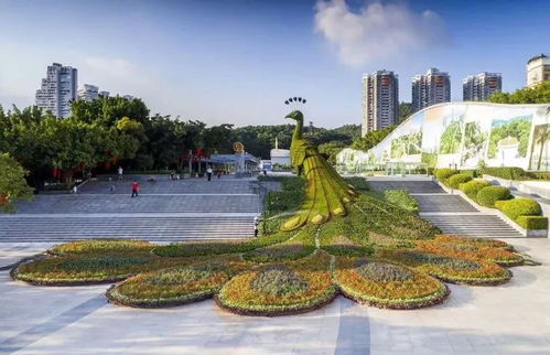 园博园：深圳最被低估的绿色宝藏