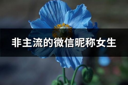 为什么这么多人喜欢用伤感昵称？ 是真的难过吗？