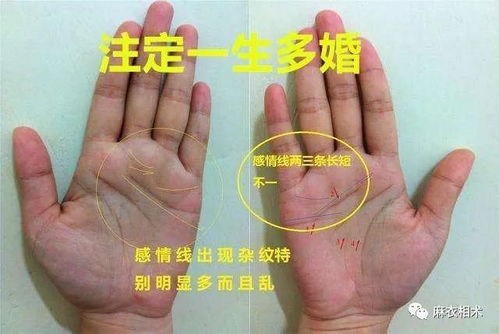 一、 名字与手相的奇怪联想