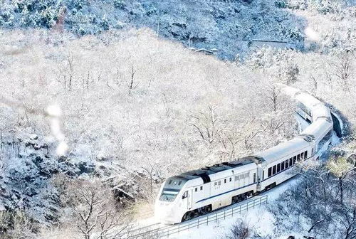 二、为哪些说火车票价会吓人？——噪音与情绪交织的一场秀！