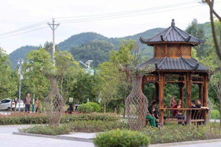 三、 云上九坝民宿——高山上的“云端别墅”