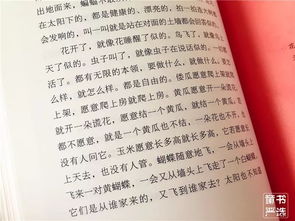 改变风水命格的书,风水改变命运