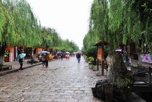 三、黑龙潭的奇幻故事