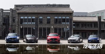 二、深度体验：走进漯河的历史与风情（如guo不迷路的话）