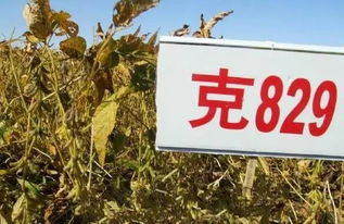 #随机噪声# ！！！@@@$$$%%%^^^&&&***(((
