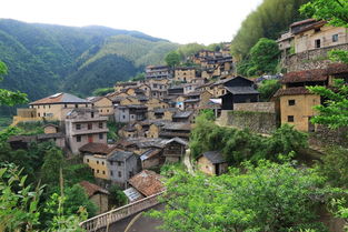 初探城口，探寻古村魅力