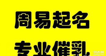 如何给算命周易店铺取一个吸引人的名字？