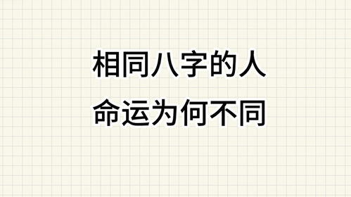 案例二：乏味至极 —— 老王的较大改名测试