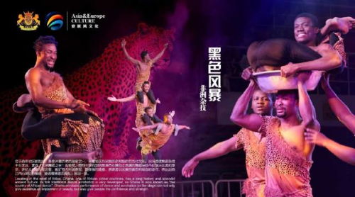 马戏团门票的惊天黑幕！2026年去玩的必须看这篇