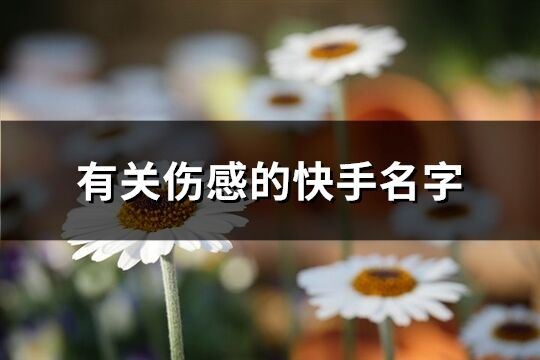 快手网名选错一个字就完蛋！