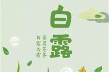 白露习俗大乱炖