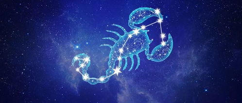 属虎天蝎座2026年财运如何？