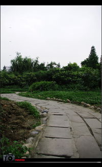 浣花溪公园的回忆与绍兴镜湖湿地的憧憬