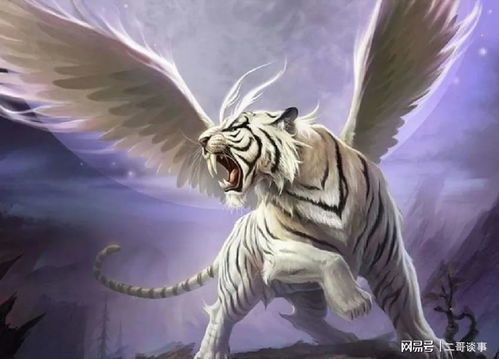 白虎挂件,风水讲解白虎挂印