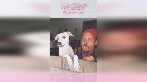 五行八卦乱炖：我懂一些但不多