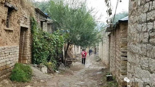 #感情炸裂# 我哭了！主要原因是...