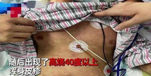 二、 生肖视角：不同属相看待这只“咬人”的小虫子