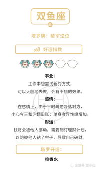 五、 星座符号：时尚界的崭新宠