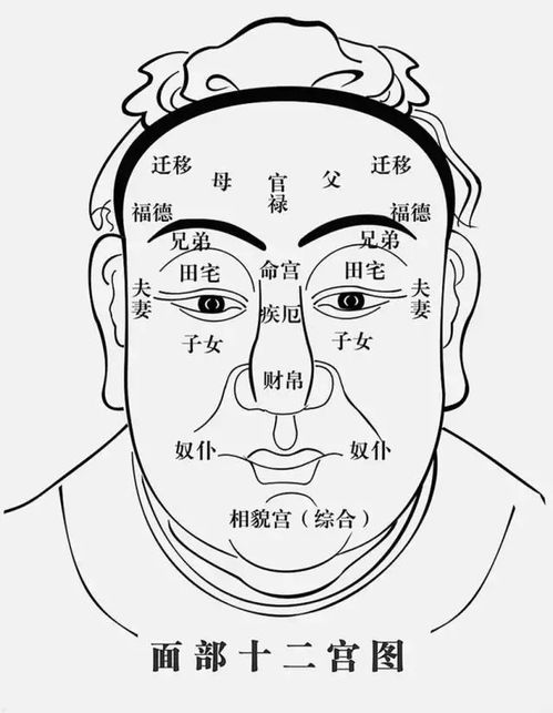准到吓人的面相读心术