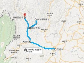 【尖叫预警】桃源的隐藏玩法！2026年黄历说这里旺桃花