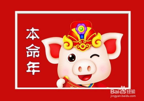 过了猪年下一个生肖是什么？猪本命年送什么礼物代表祝福？