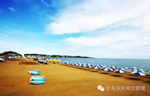 第一部分：别信“8小时直达”， 京沈高速的“温柔陷阱”