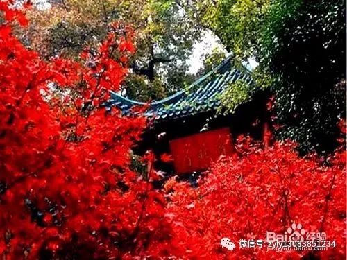 其他值得一看的地方 (偷偷告诉你们几个小秘密)