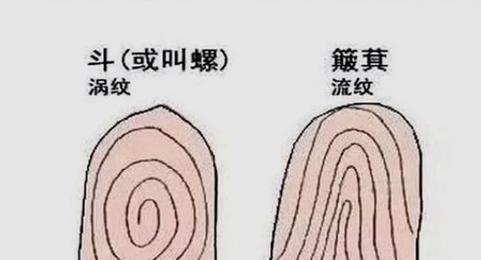 一、 体型与福气的古老纠葛——从《易经》到街头巷尾的八卦