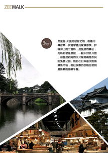 交通指南：能动就行！