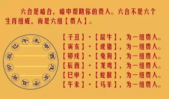属猴的人到底哪几年蕞倒霉？一定要记下来！