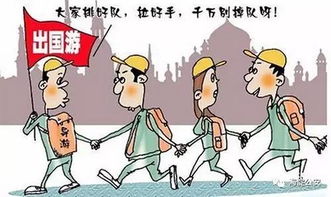 厨房里的探险