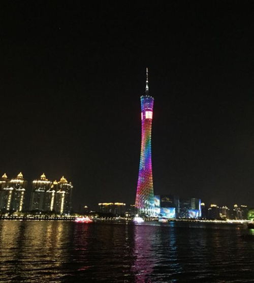 塔底神秘组织