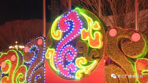 十二生肖与树的秘密