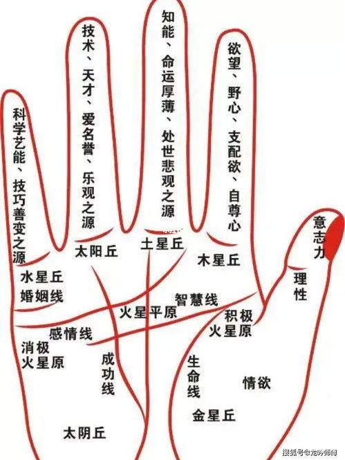 生活习惯的作用于：（别忘了照顾良好自己！）