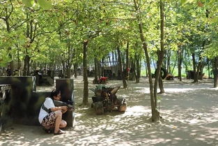 五、如何前往天嘉湖(路痴求助)