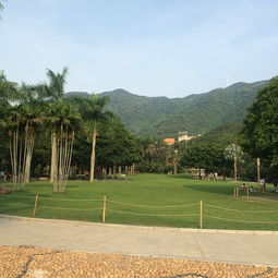第四站：增城仙湖植物园（其实也没什么仙气儿）