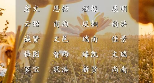 名字的文化底蕴：轩字的由来与含义