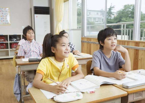 自然成长：让学习变成一场冒险