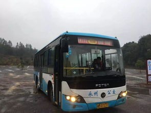 二、路线较大杂烩——乱序版公交指南（请自行拼凑）