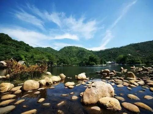 二、亲子乐园：海泉湾的精彩纷呈