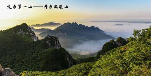 凤凰山的传奇：一只凤凰的安家之地