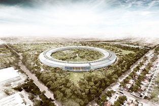 意外发现：延安地下藏有古代苹果树根系！?