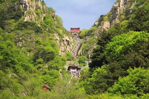 2026年泰山秋游：当星座遇上黄历 这份魔幻现实主义攻略能气死本地人