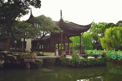 救命！2026年去苏州坐船会热到融化吗？看完这篇烂攻略保你气到原地爆炸