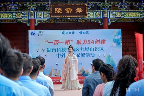 藏族风俗文化深度解析，揭秘传统魅力！