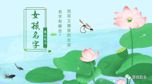 慧字五行？水？你逗我呢？