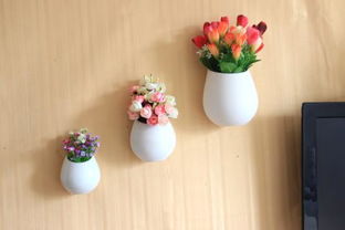 蝴蝶摆件风水,蝴蝶摆件风水